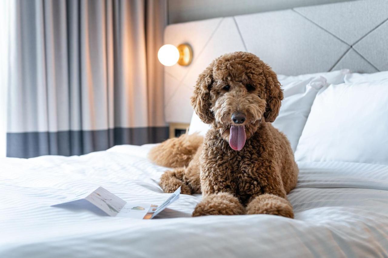 Residence Inn By Marriott Слау Екстер'єр фото